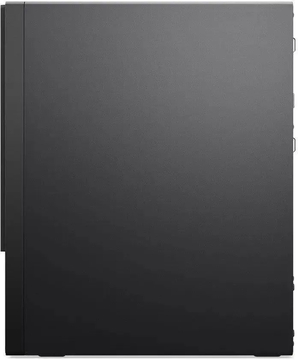 ПК LENOVO ThinkCentre Neo 50t, 11SE00PAGP