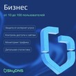 SkyDNS.Бизнес