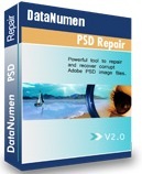 DataNumen Inc. PSD Repair (лицензия),