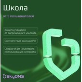 SkyDNS.Школа