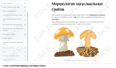 ООО «Корпоративные системы Плюс» Электронный курс Общая микробиология ГЛАВА 1, Морфология и классификация микроорганизмов (лицензия), базовая версия
