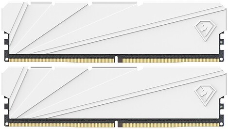 Оперативная память Netac DDR4  2x8GB, NTSSD4P32DP-16W