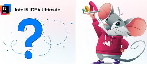Изображение. Логотип IntelliJ IDEA Ultimate, под которым большой синий знак вопроса и мультяшный персонаж справа в виде мышки в красной худи, держащей поднос с логотипом Amlpicode