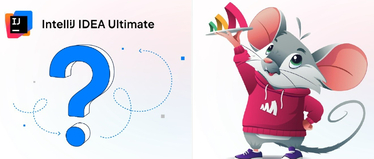 Изображение. Логотип IntelliJ IDEA Ultimate, под которым большой синий знак вопроса и мультяшный персонаж справа в виде мышки в красной худи, держащей поднос с логотипом Amlpicode