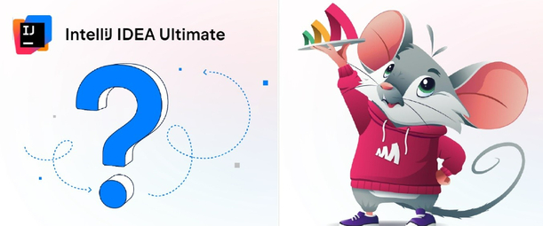 Изображение. Логотип IntelliJ IDEA Ultimate, под которым большой синий знак вопроса и мультяшный персонаж справа в виде мышки в красной худи, держащей поднос с логотипом Amlpicode