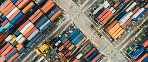 Какие меры поддержки предоставляются предприятиям при использовании технологий из реестра Минпромторга  в магазине Softline