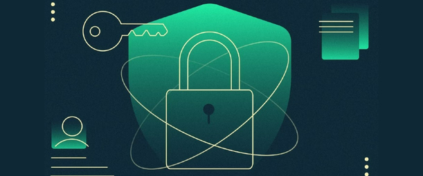 Защита данных: что такое СКЗИ и зачем это нужно бизнесу